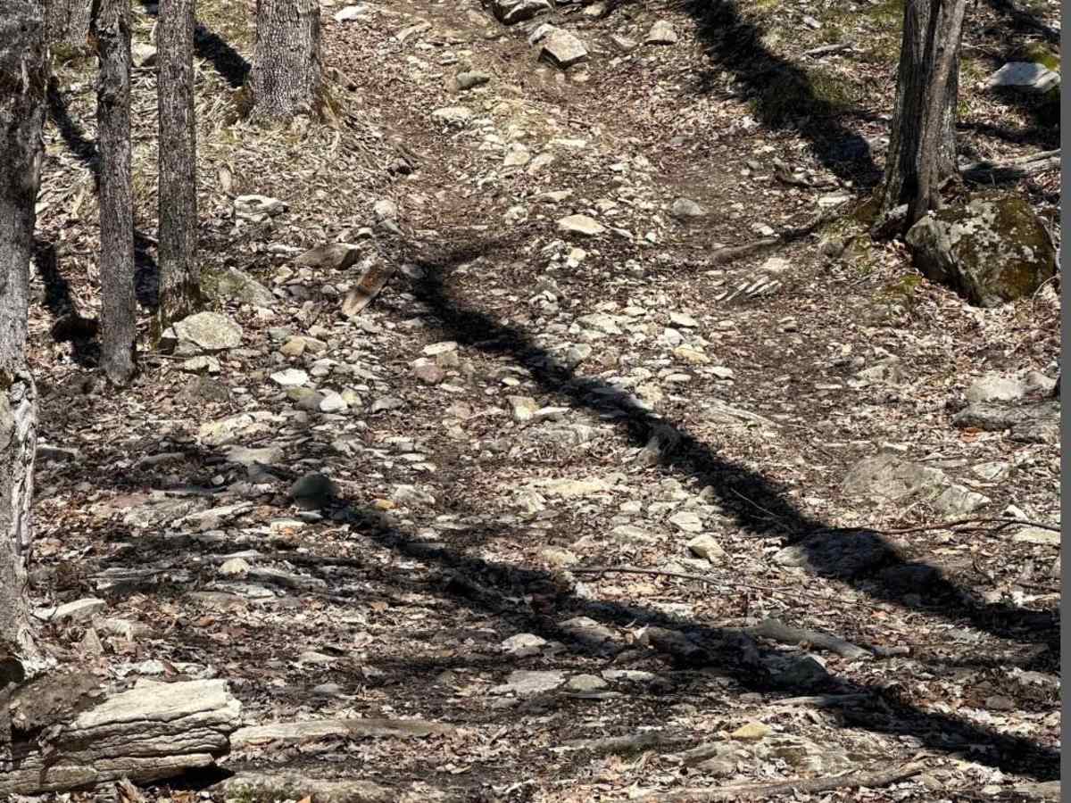 Cliff Hanger Loop photo 2