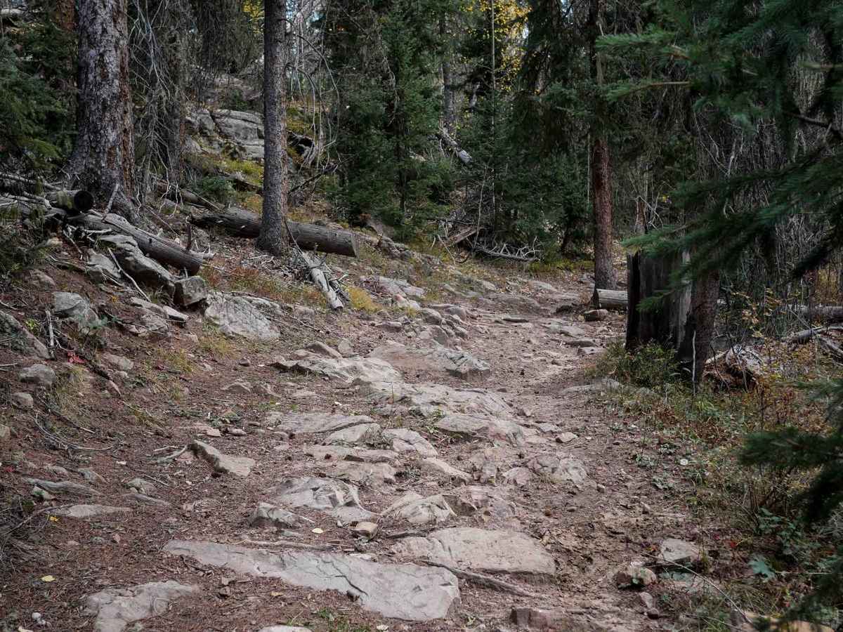Devil Mountain photo 5