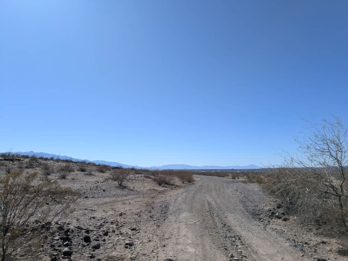 Powerline Road photo 3