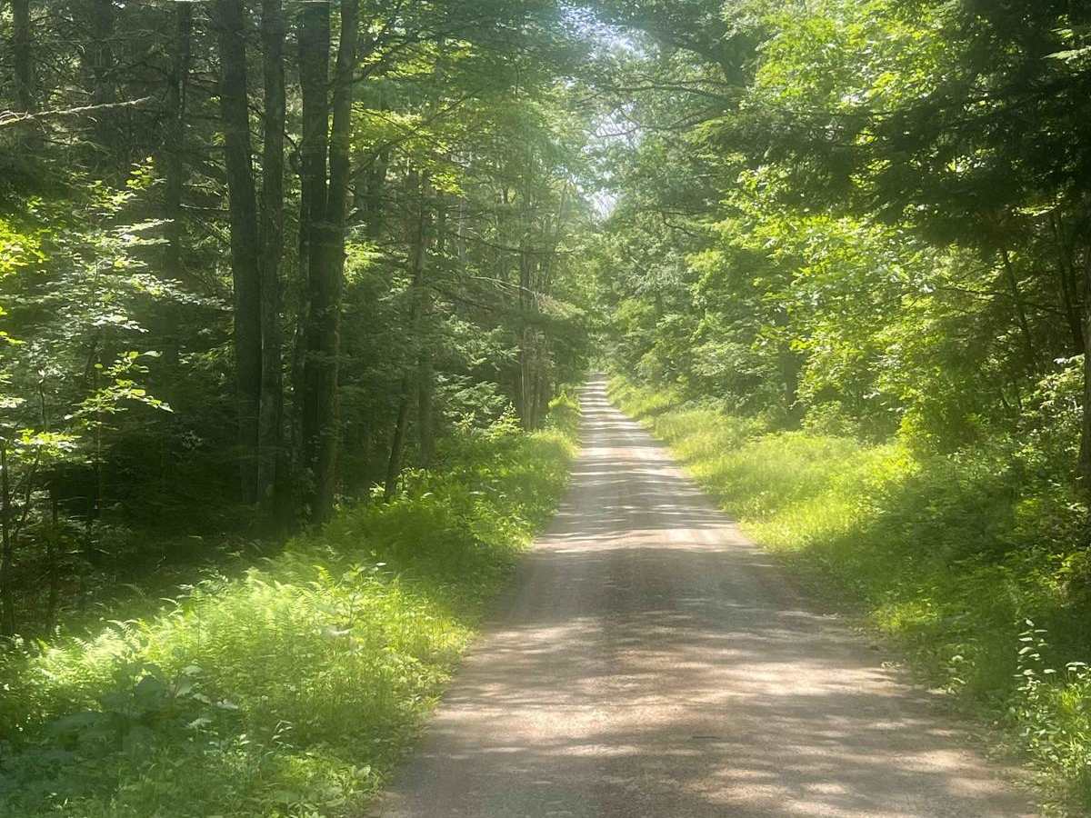 Engle Road photo 5