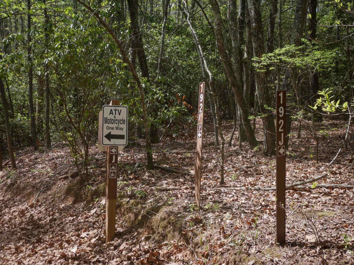 Sally Free Trail J trail photo