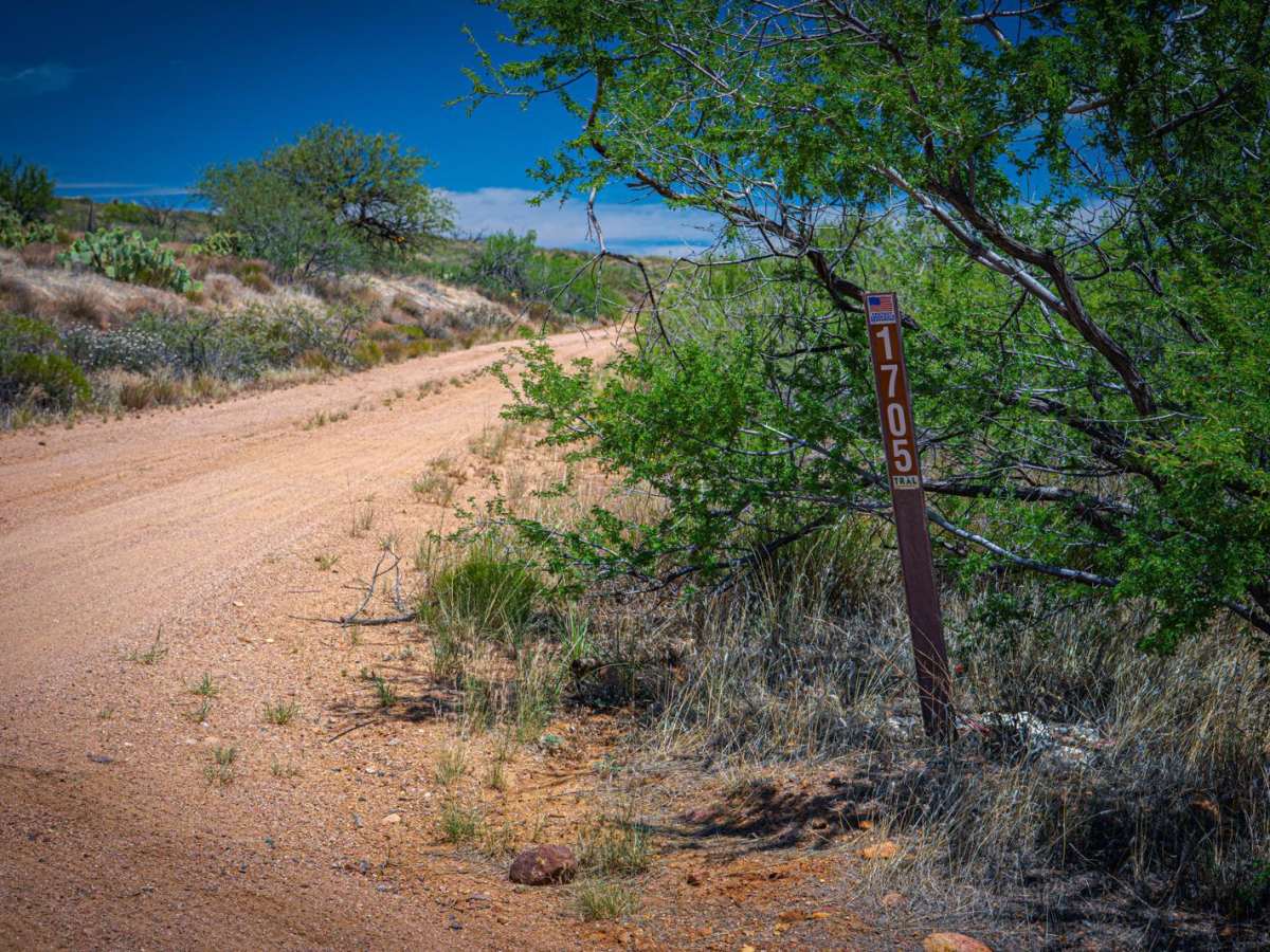 Rincon Tank Trail trail photo