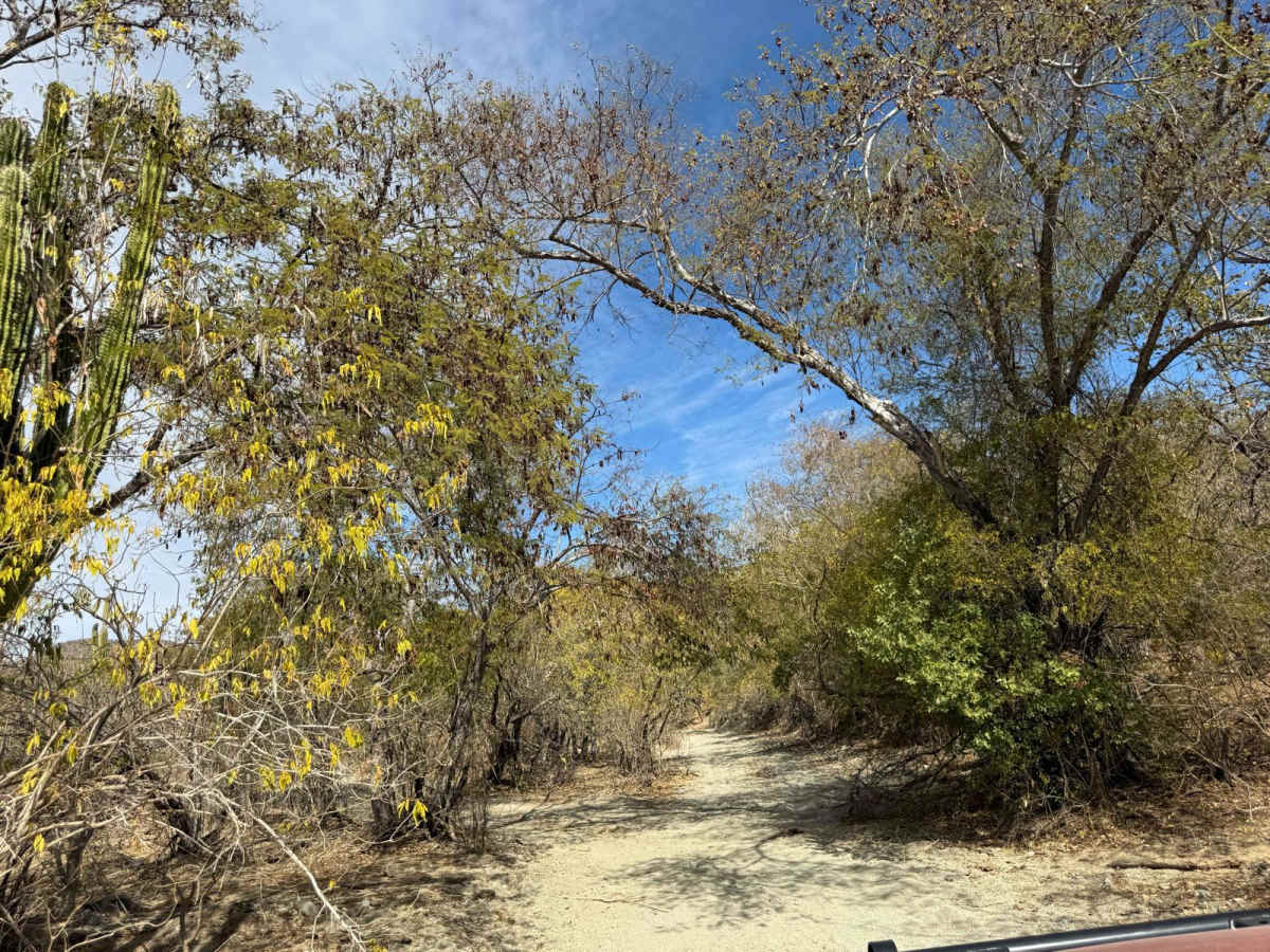 El Rosario Cutoff photo 2