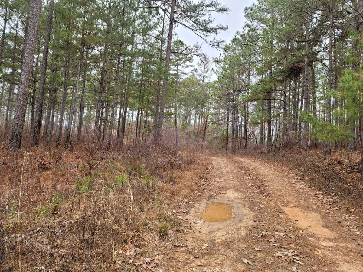 USFSR #545 - Hilltop photo 3