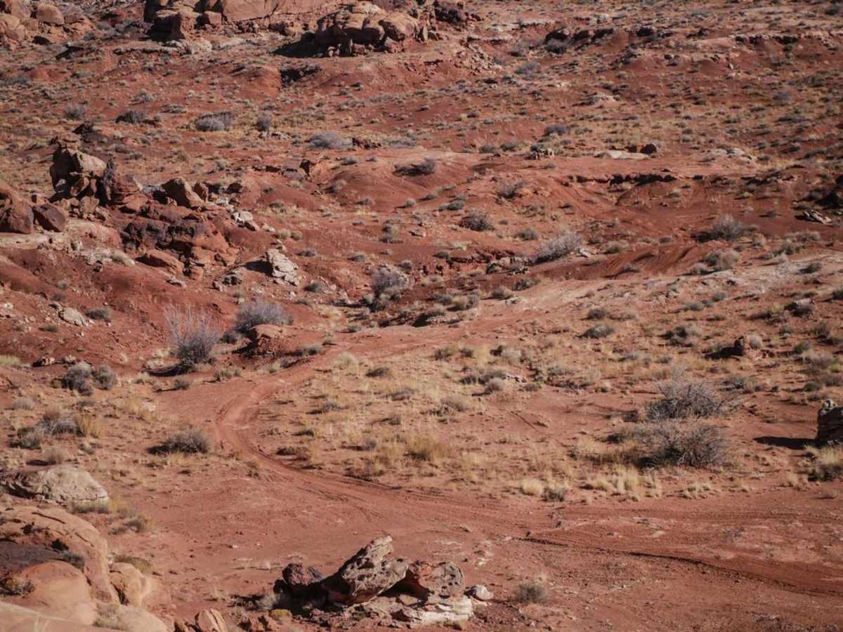 Red Rocks Trail photo 6