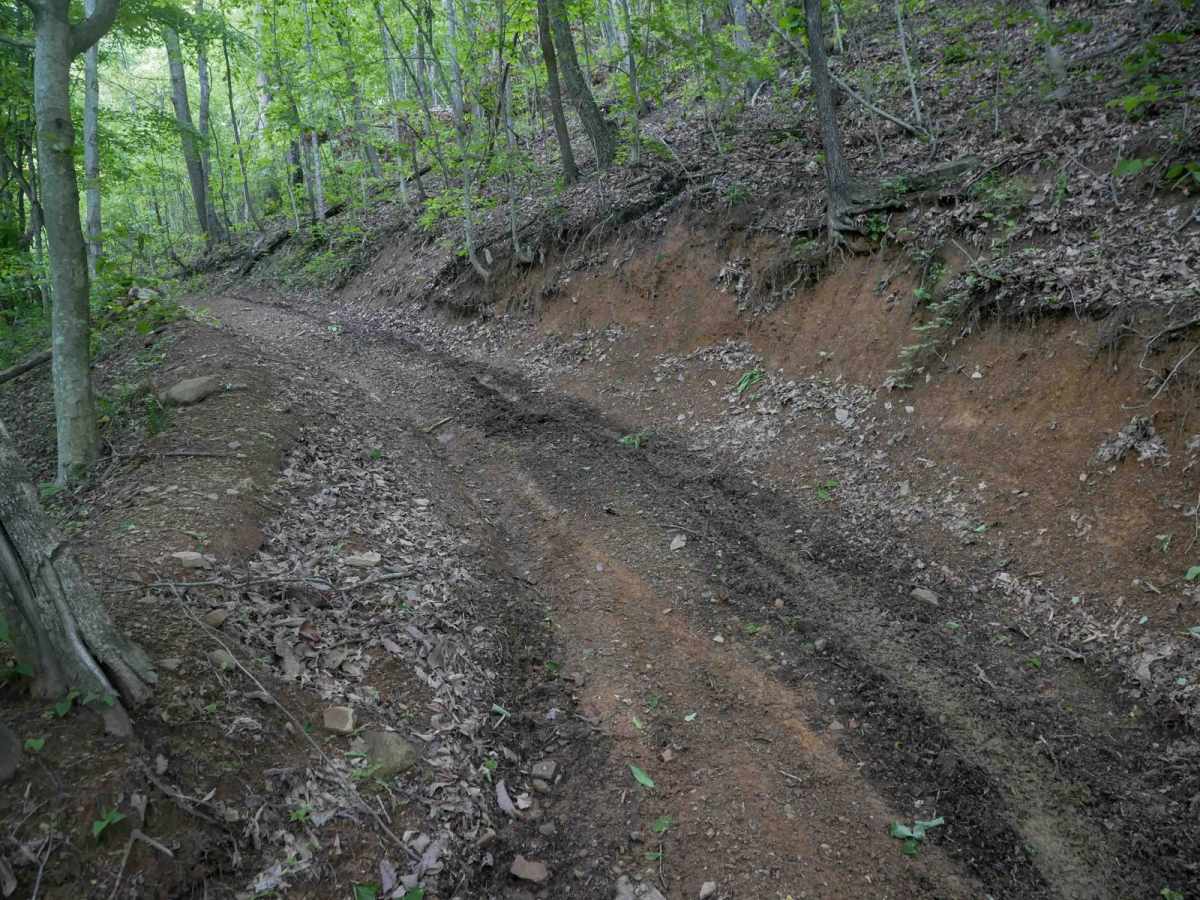 MV73 photo 2