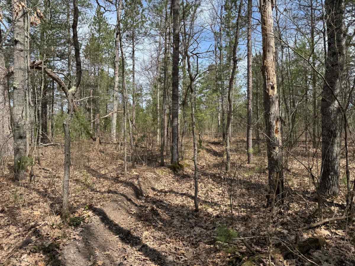 Grand Traverse West Spur photo 3