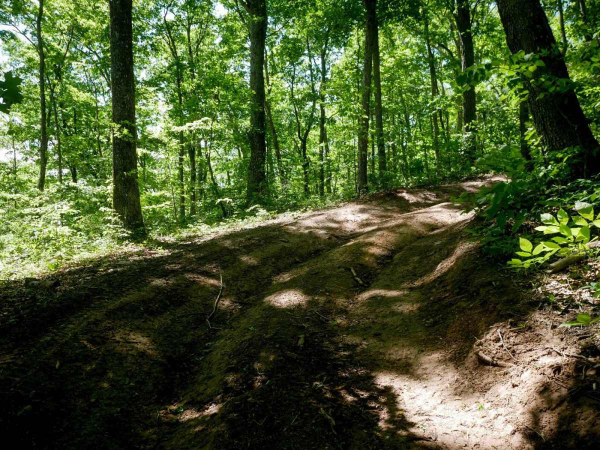 Trail 27 photo 5