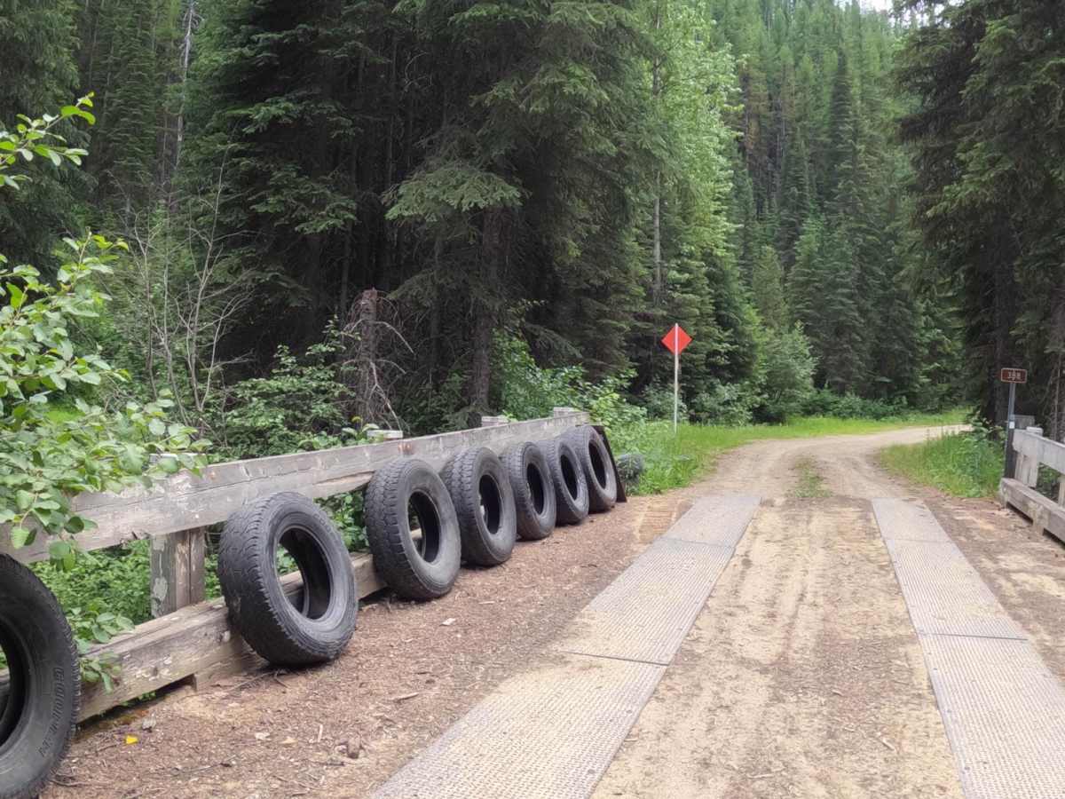 Snowshoe Pass - FSR 488 trail photo