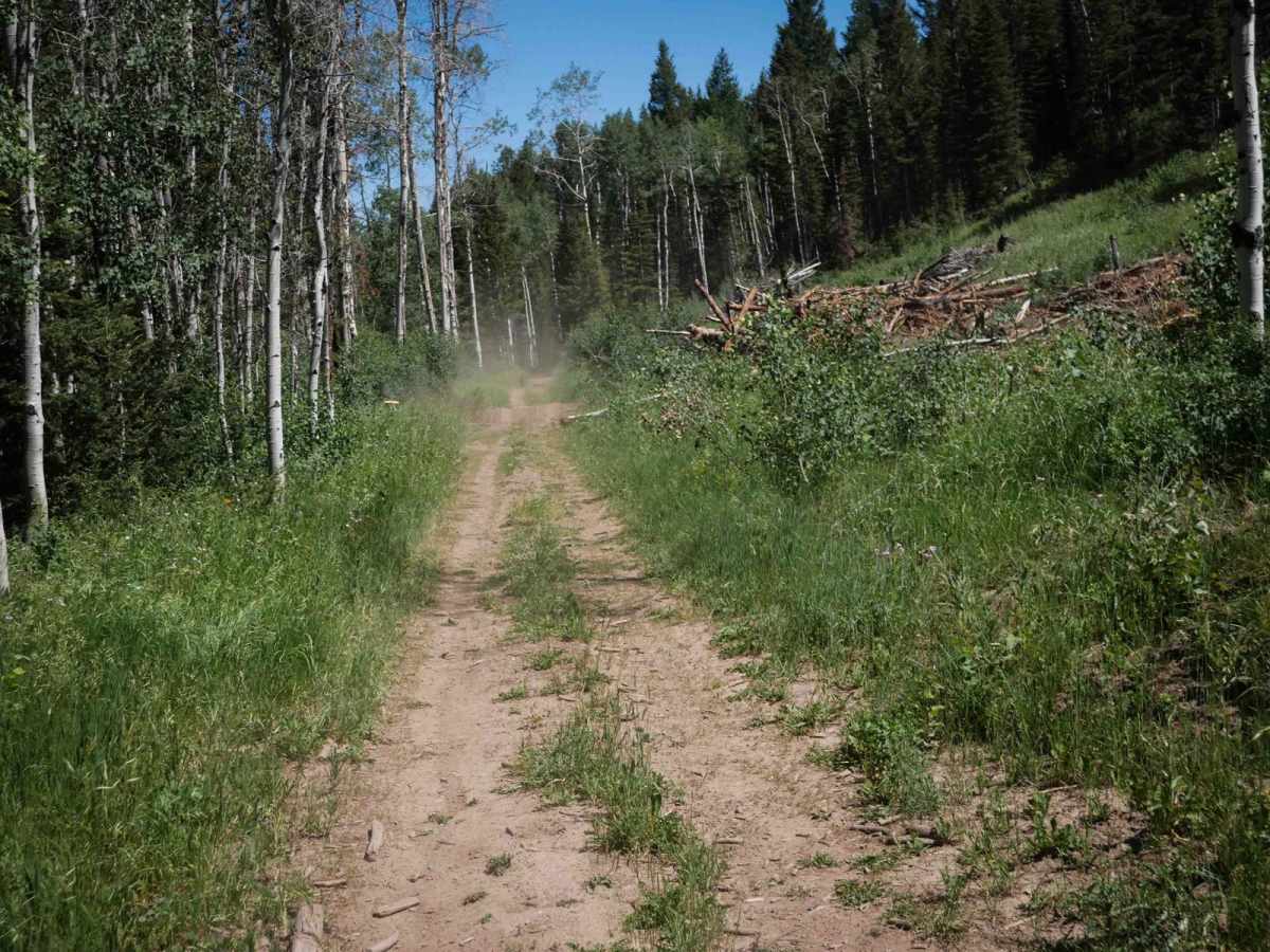  Aspen Range - Middle Sulphur #5248  photo 3