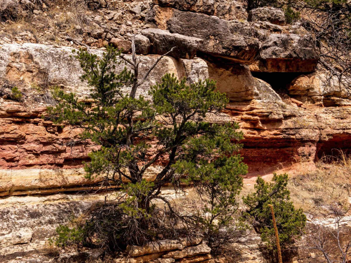 The Banks BLM Road 5820 photo 3