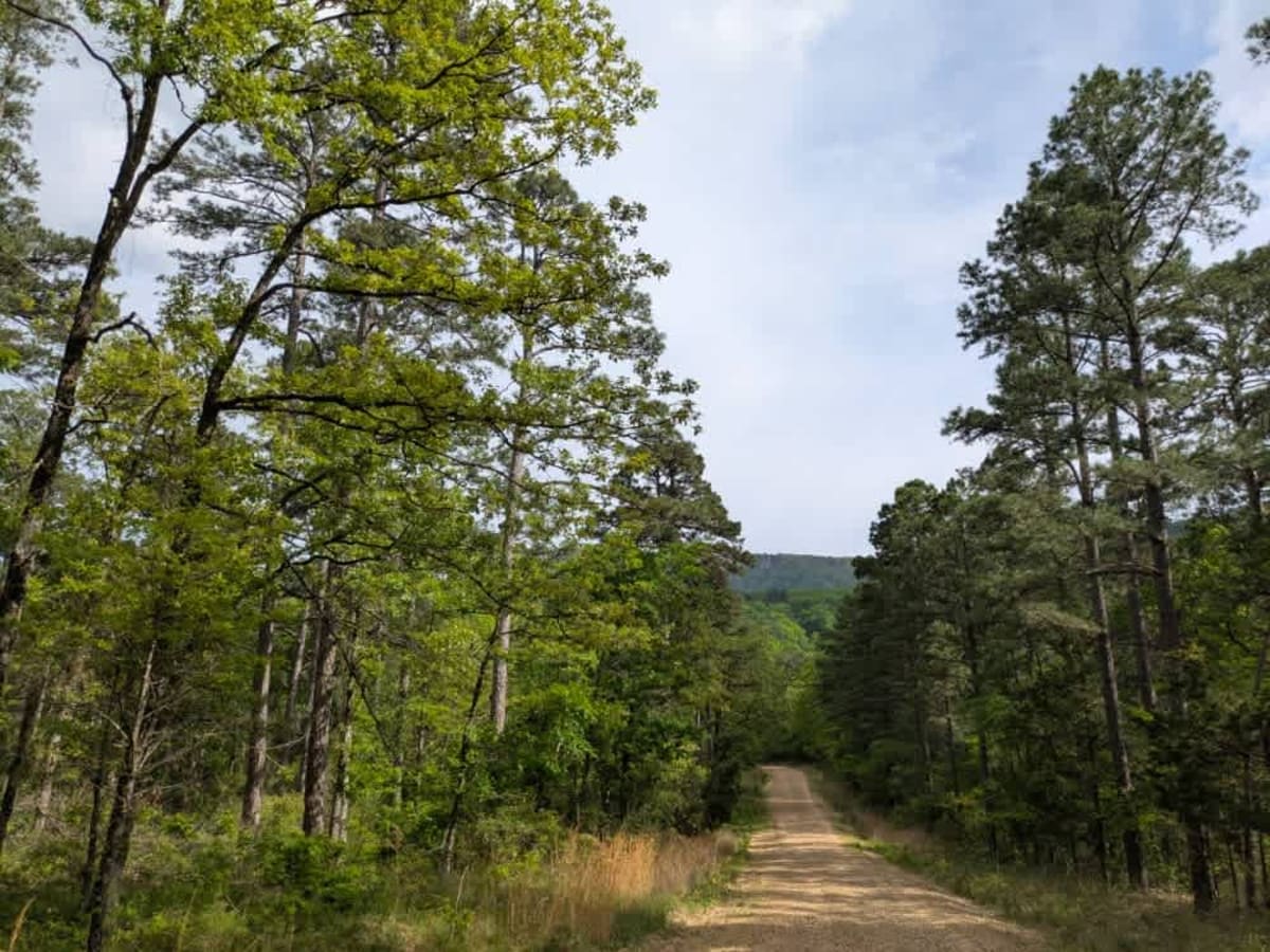 Green Bench Road trail photo