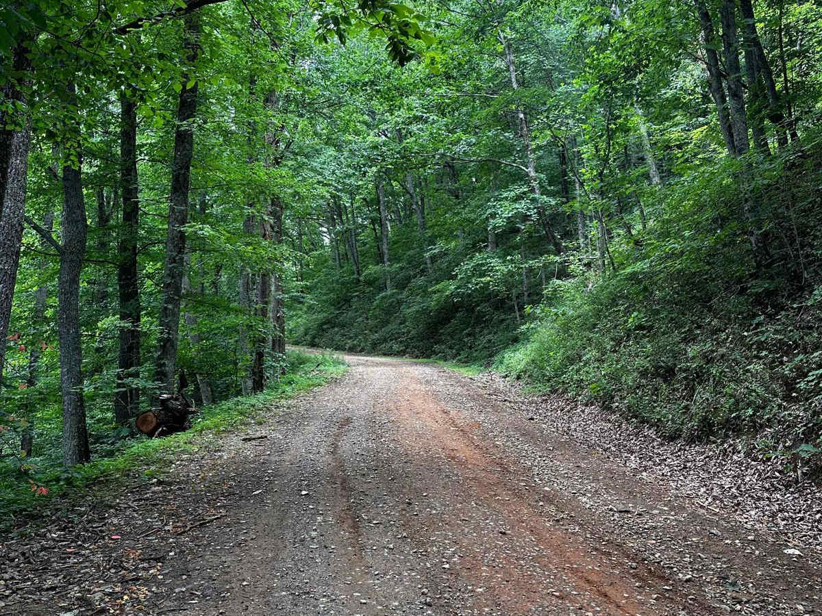 Cooper's Gap photo 5
