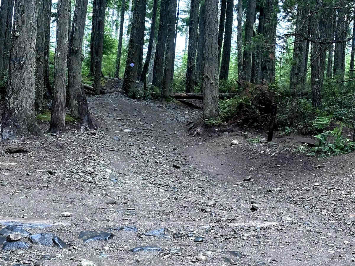 Low Road Trail photo 2