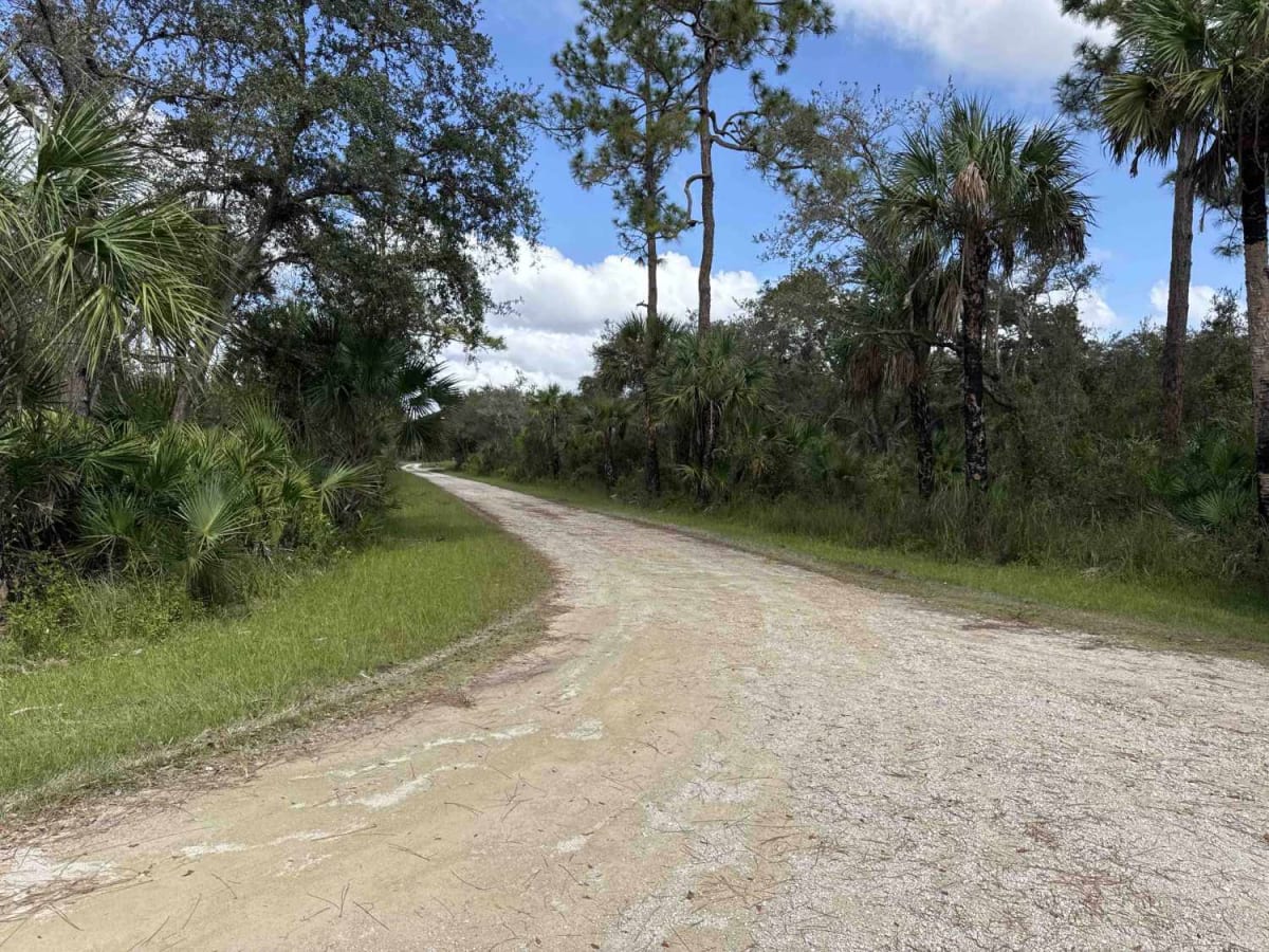Bear Island Road photo 2