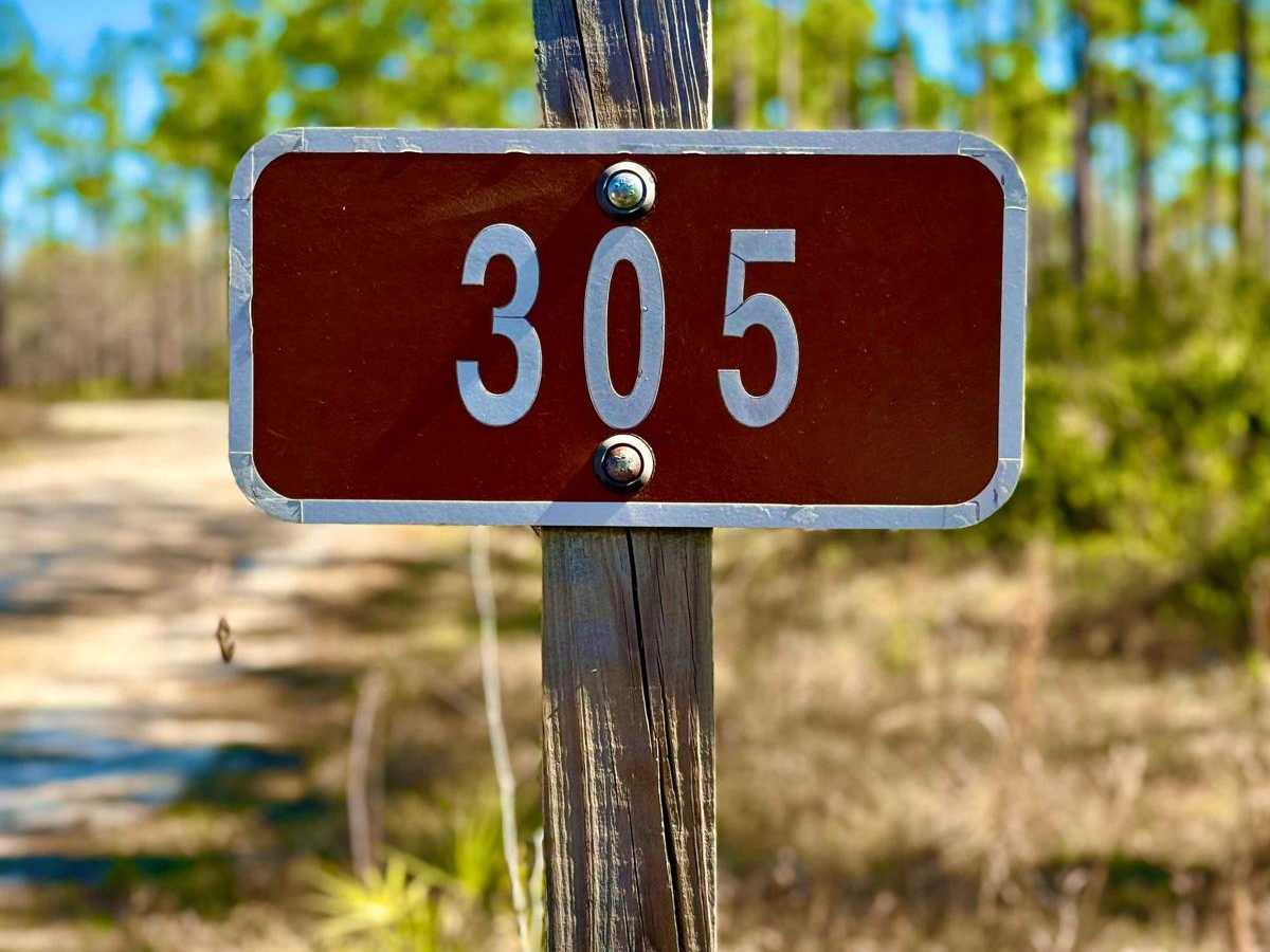 305 North Pasture trail photo