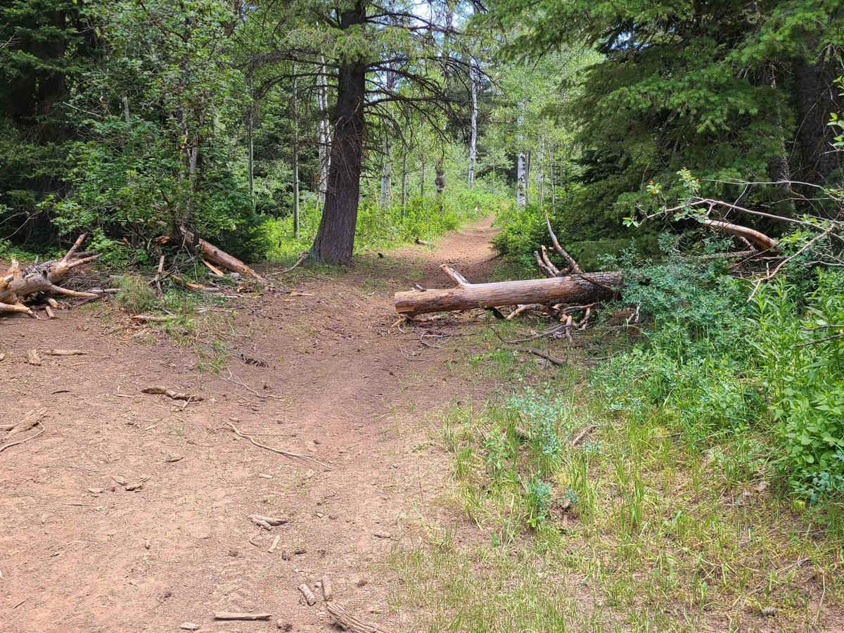 Litz Basin photo 3
