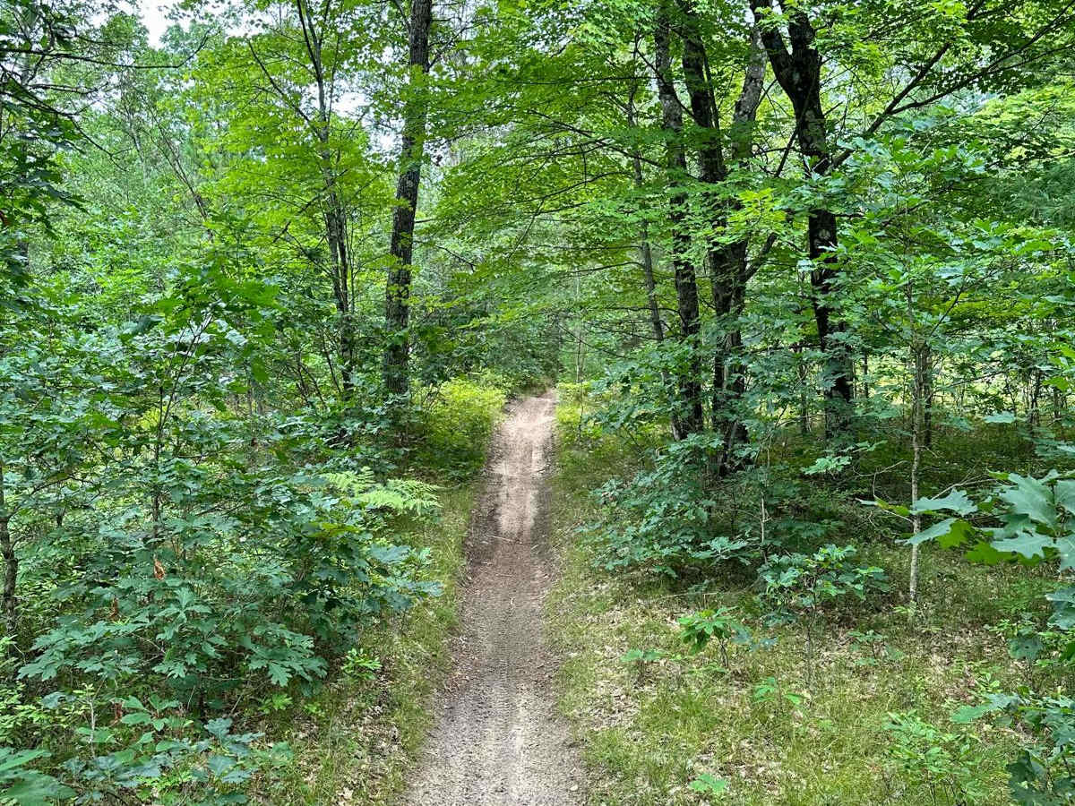 S/W Little Manistee Motorcycle Trail photo 6