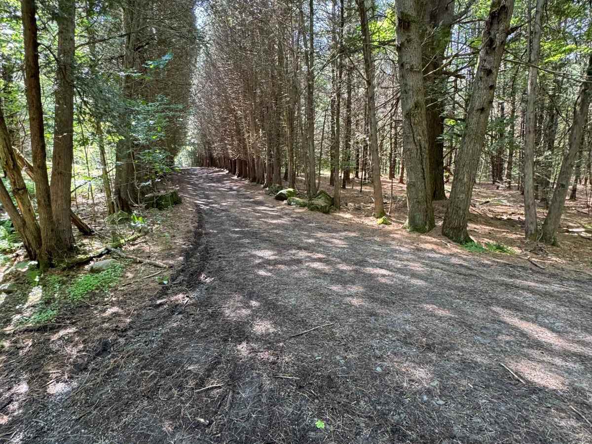 Eastern Boundary Trail photo 2