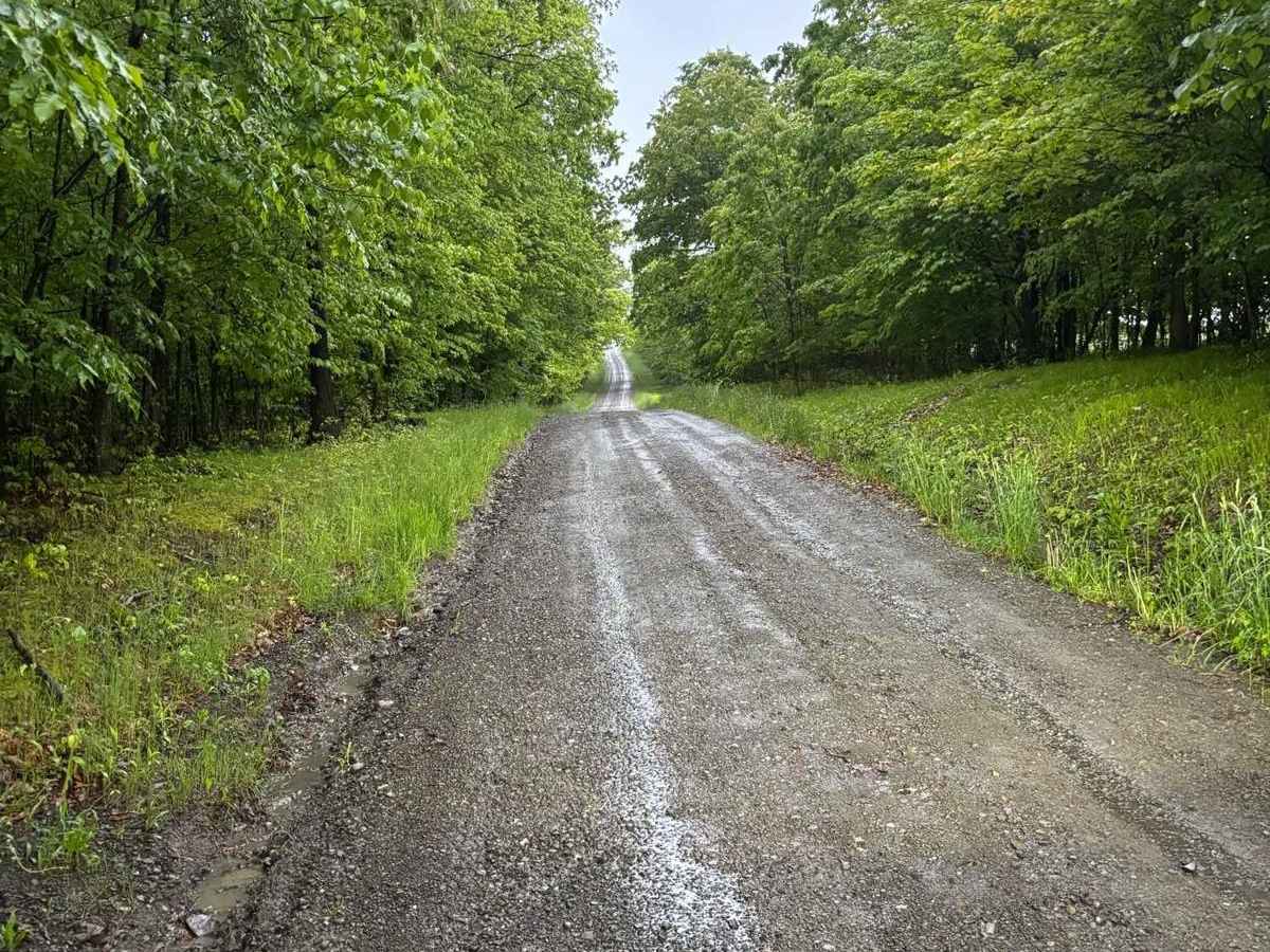 Gay Road photo 4