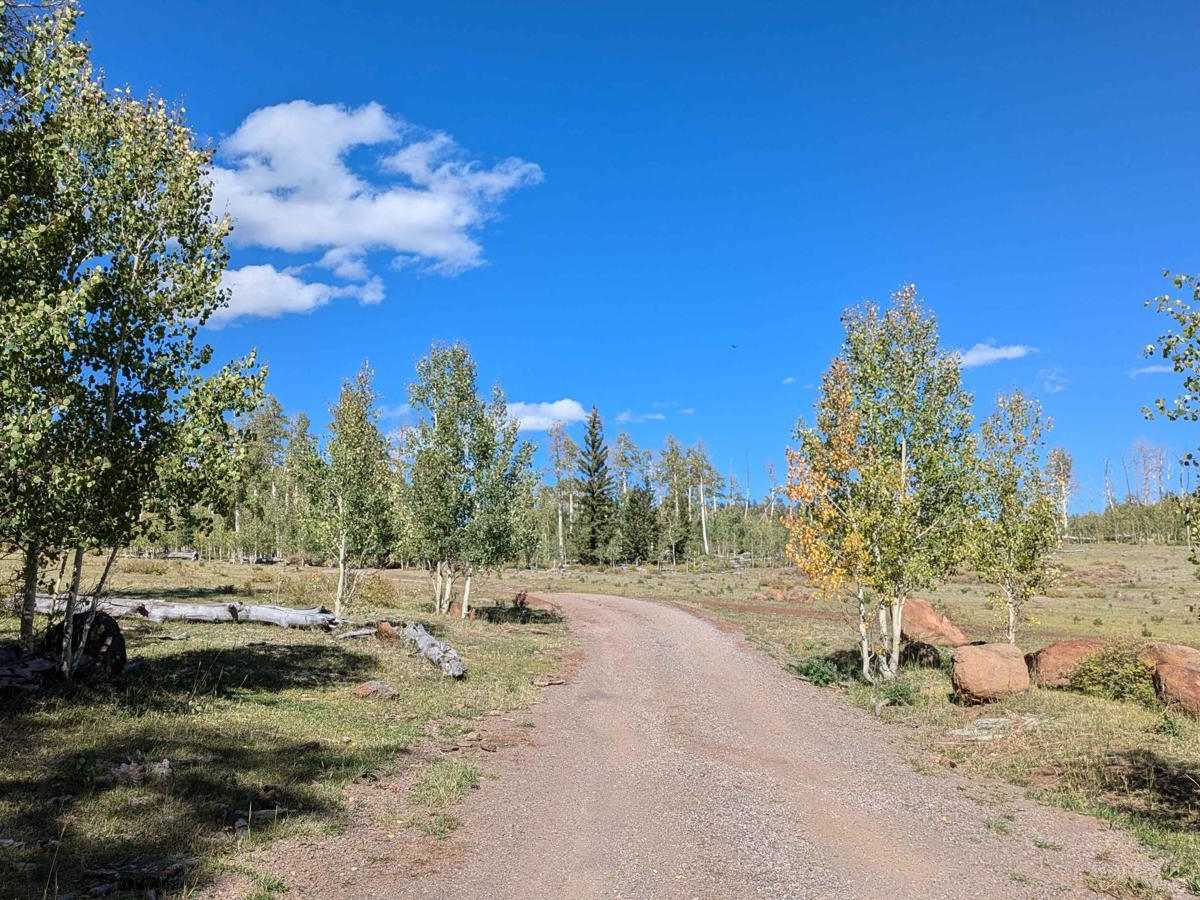Road Draw/Haws Pasture/Kings Pasture photo 5