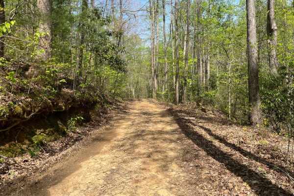 Nicholson Gap