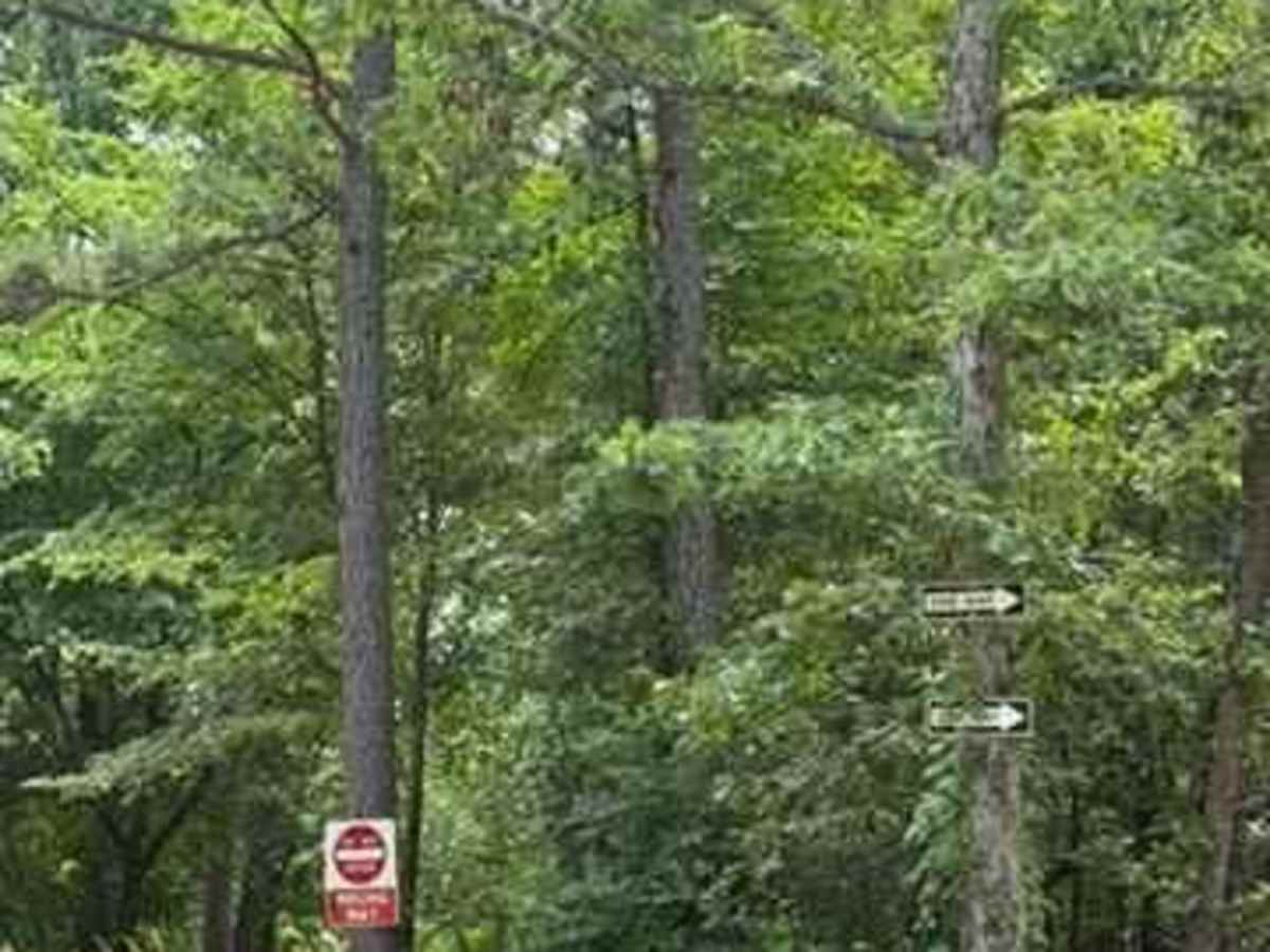Parking Line Road photo 3