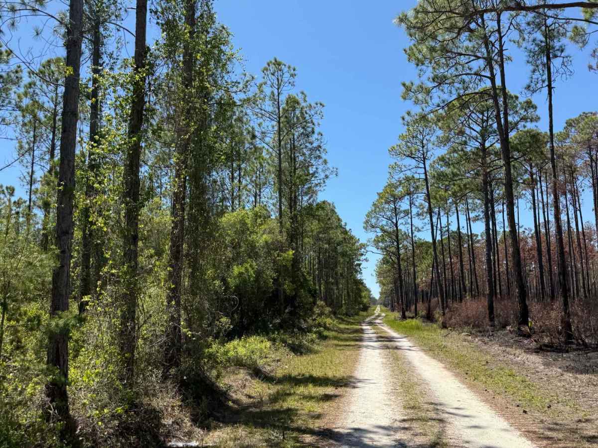 BOTOA Trail photo 3