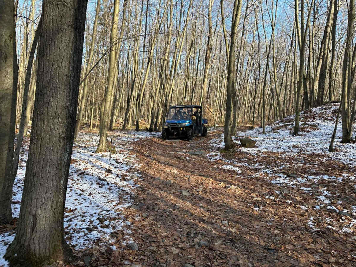 Locust Gap 72 photo 3
