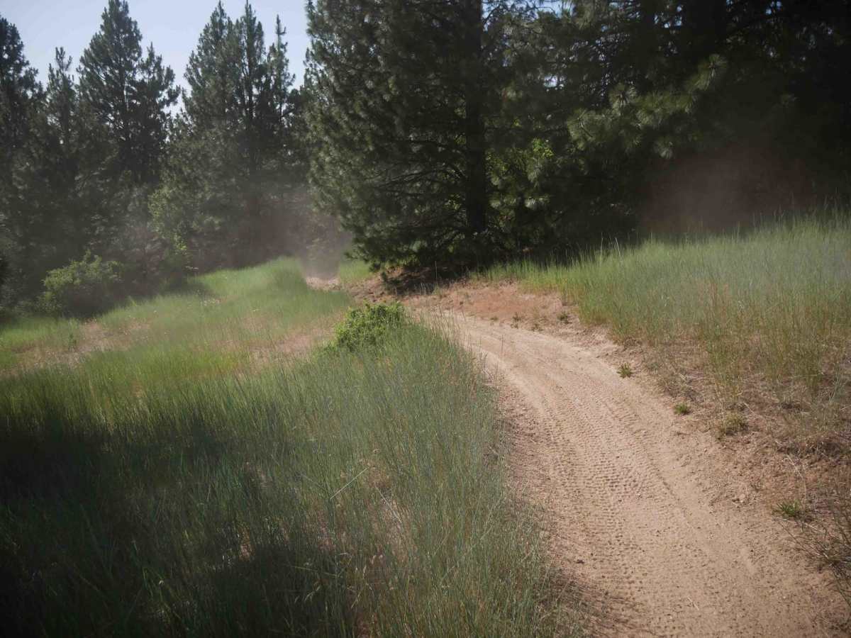 Easy Going photo 5
