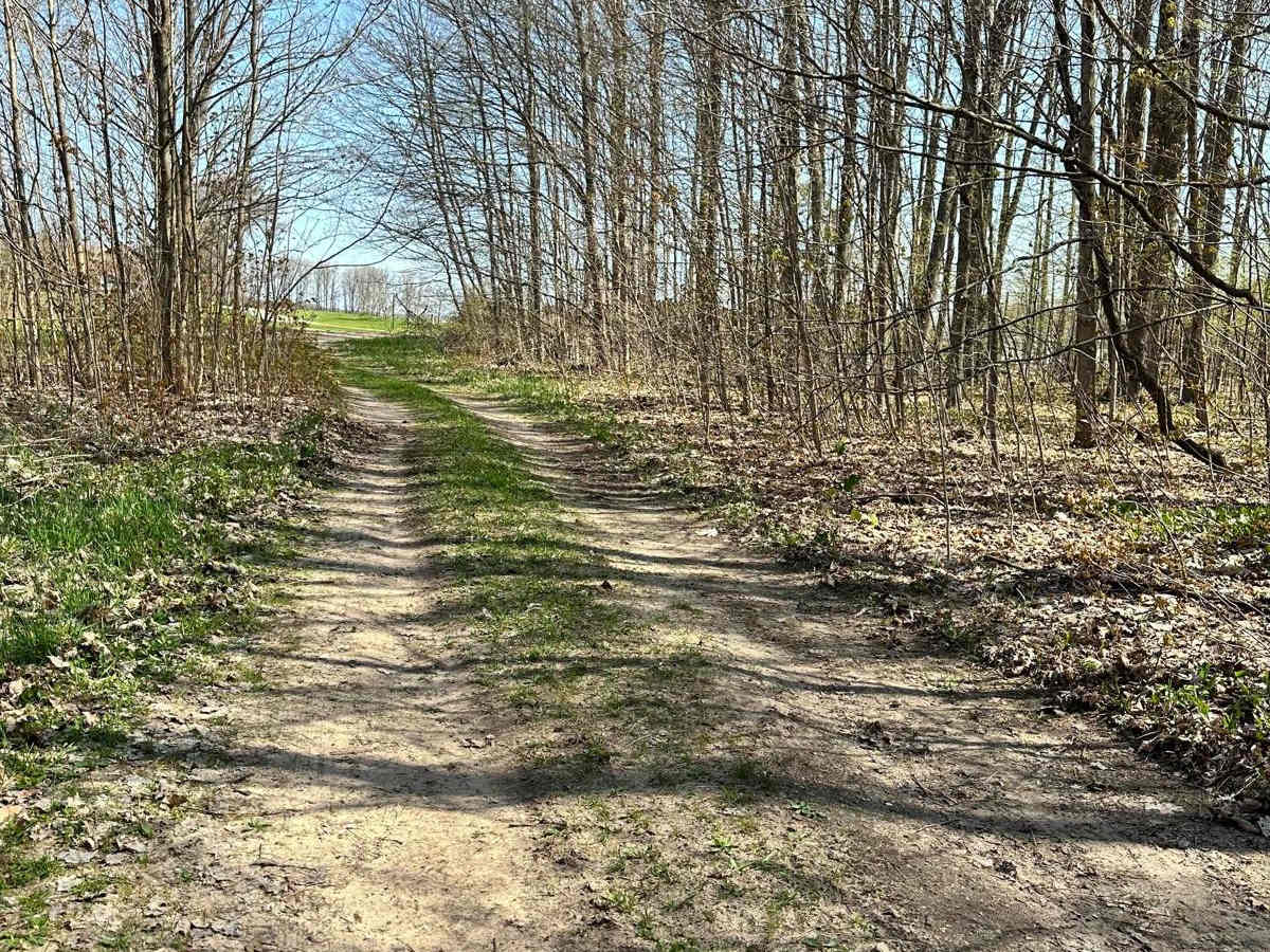 Cadillac Area ORV/OHV Scenic Ride - Part 13 photo 3