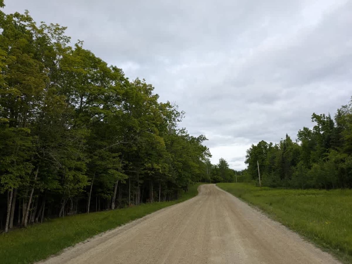 43 trail photo
