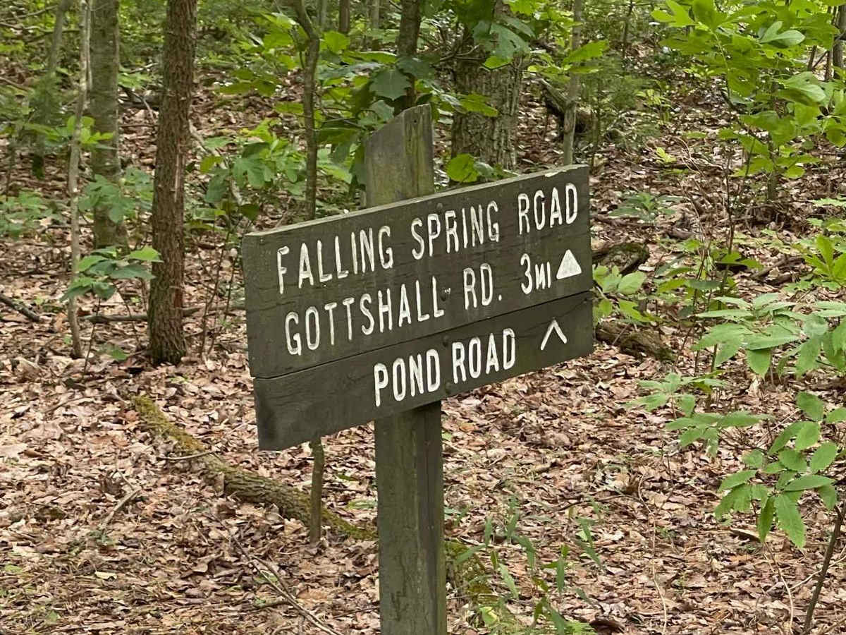Pond Road photo 5