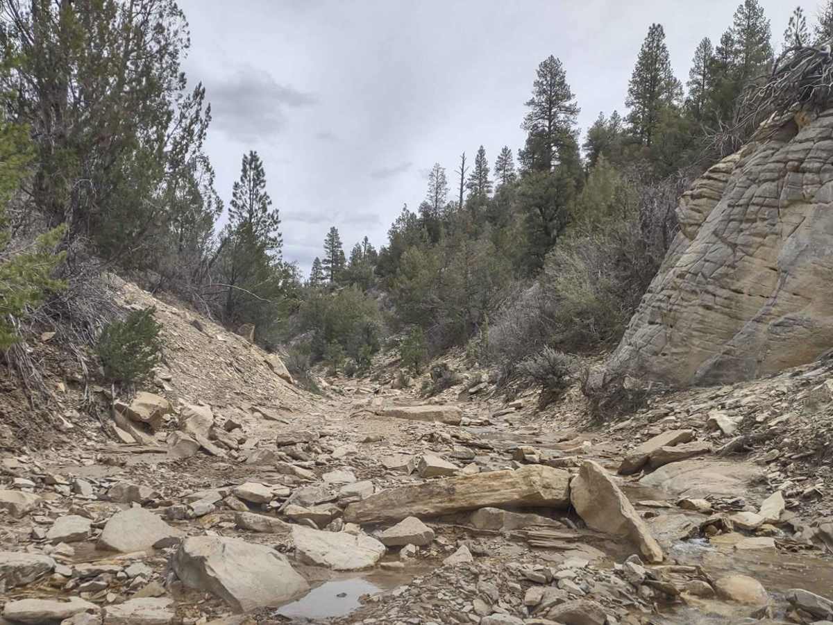Kanab Creek Trail trail photo
