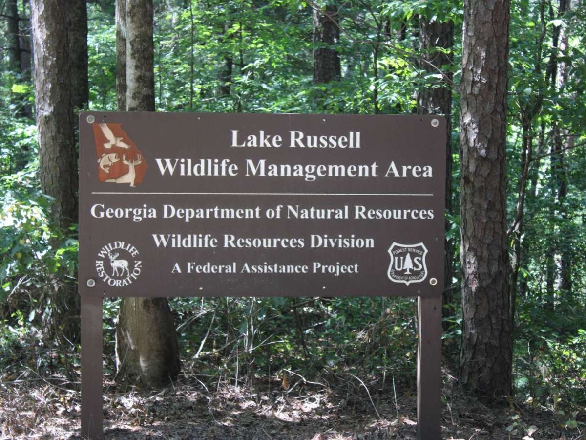 Red Root Road- FS 92 trail photo