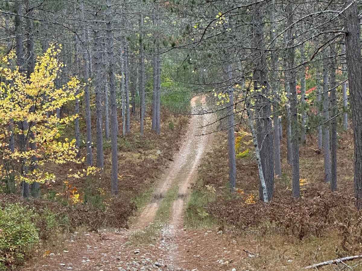 Mowe Lake Part 2 - FS 2692 photo 3