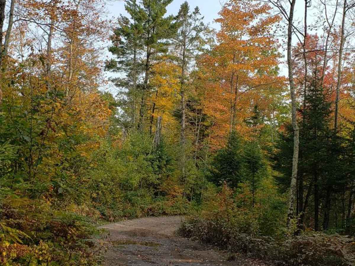 Trail 31 - Part 1 photo 3