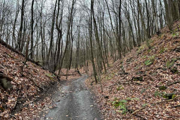ATV Trail 52