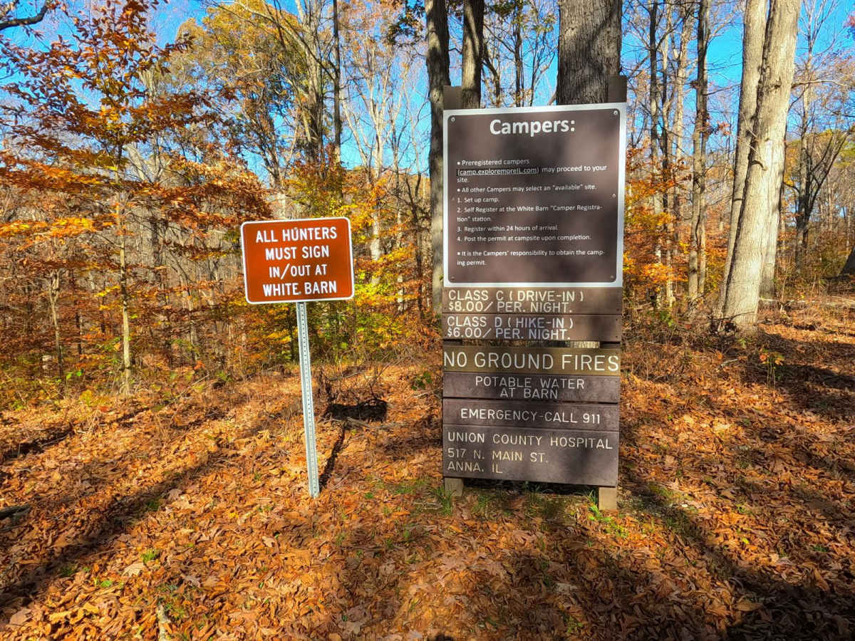 North Forest Road photo 5