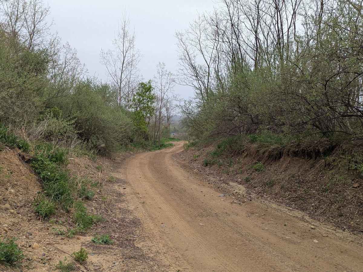 Darlene's Ridge photo 2