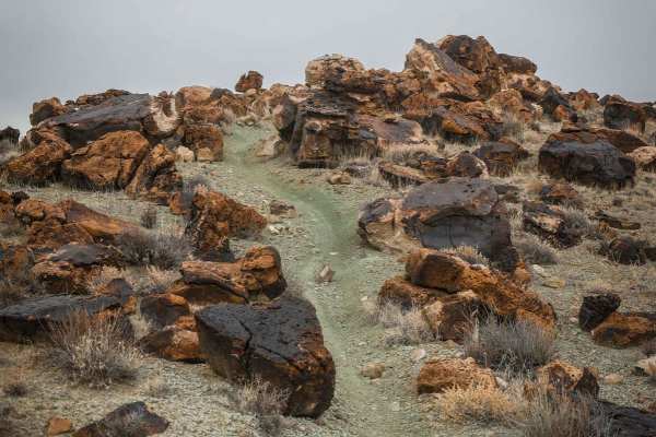 Cedar Mountain