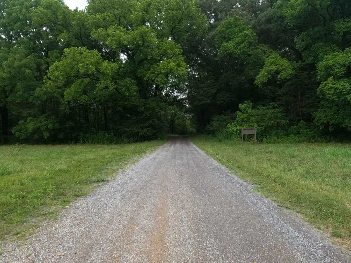 Tharpe Road FSR 221 photo 2