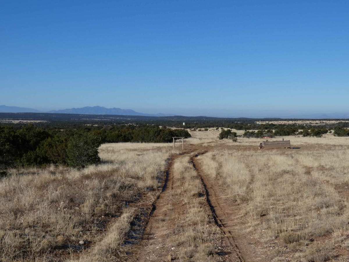 Cerro Encinoso Loop trail photo