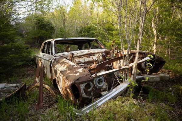 White Car Trail