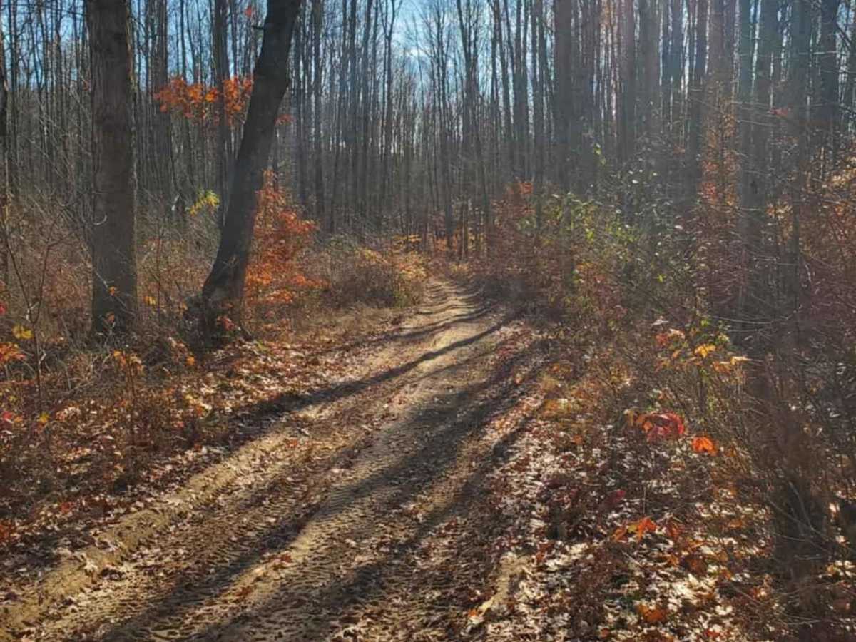 Trail 5321 photo 5