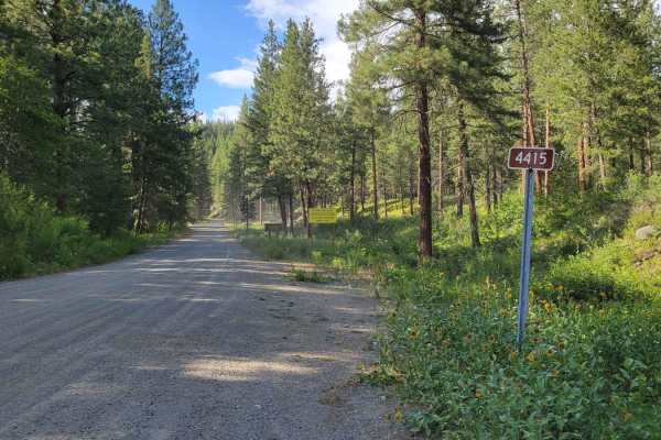 FR 4415 - Little Bridge Creek