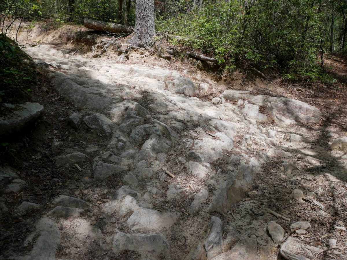 1A trail photo