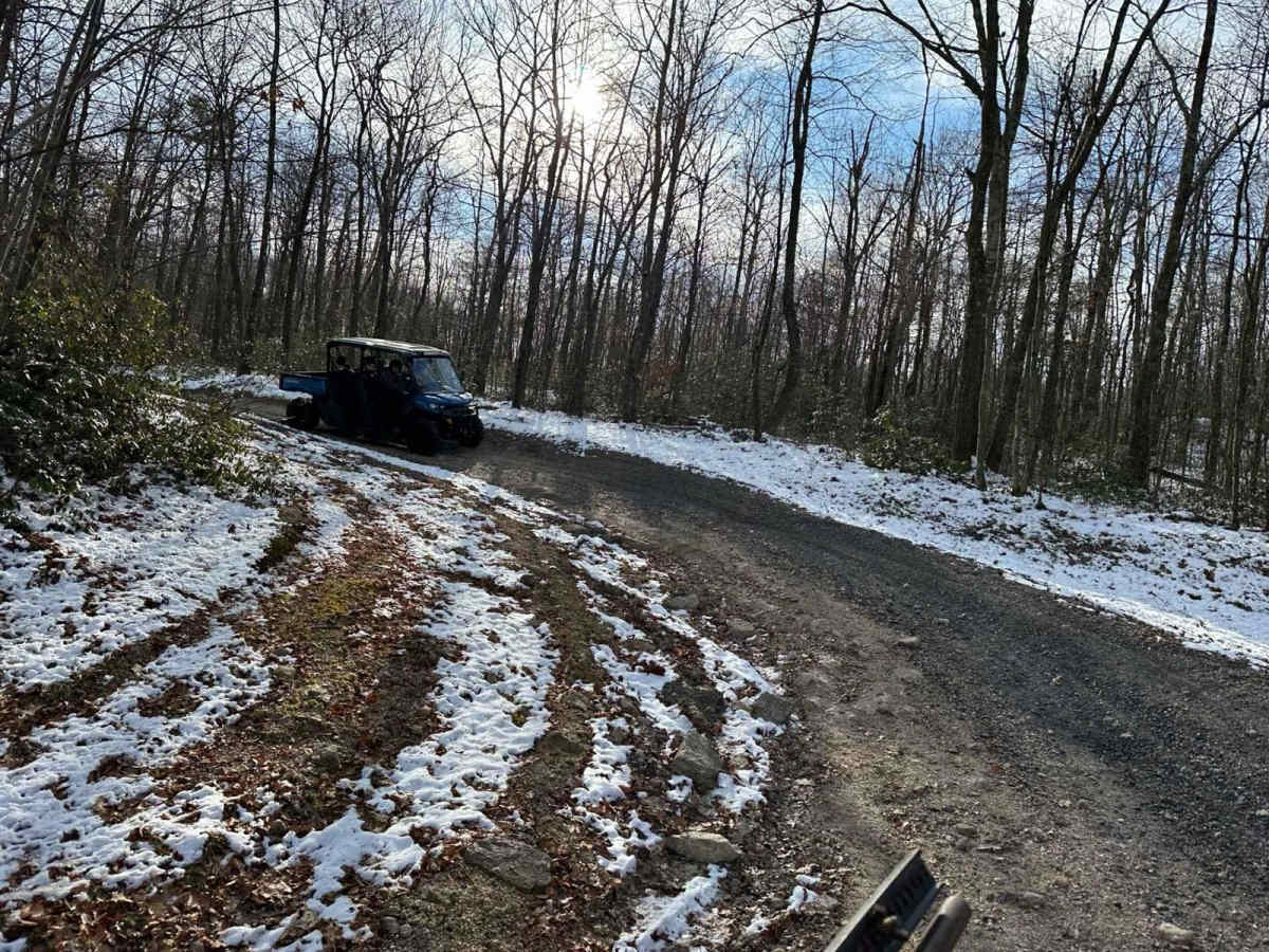 Locust Gap 36 photo 6