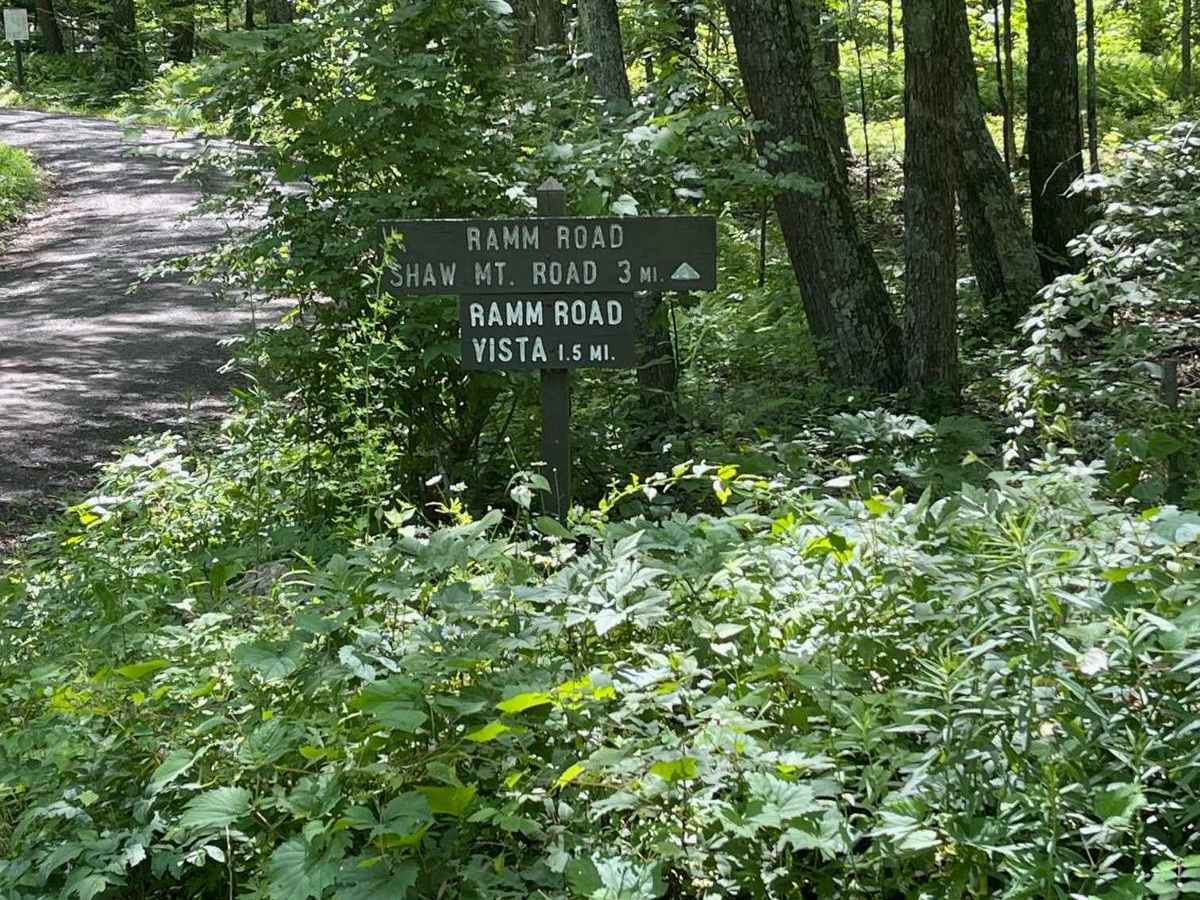 Ramm Road South trail photo