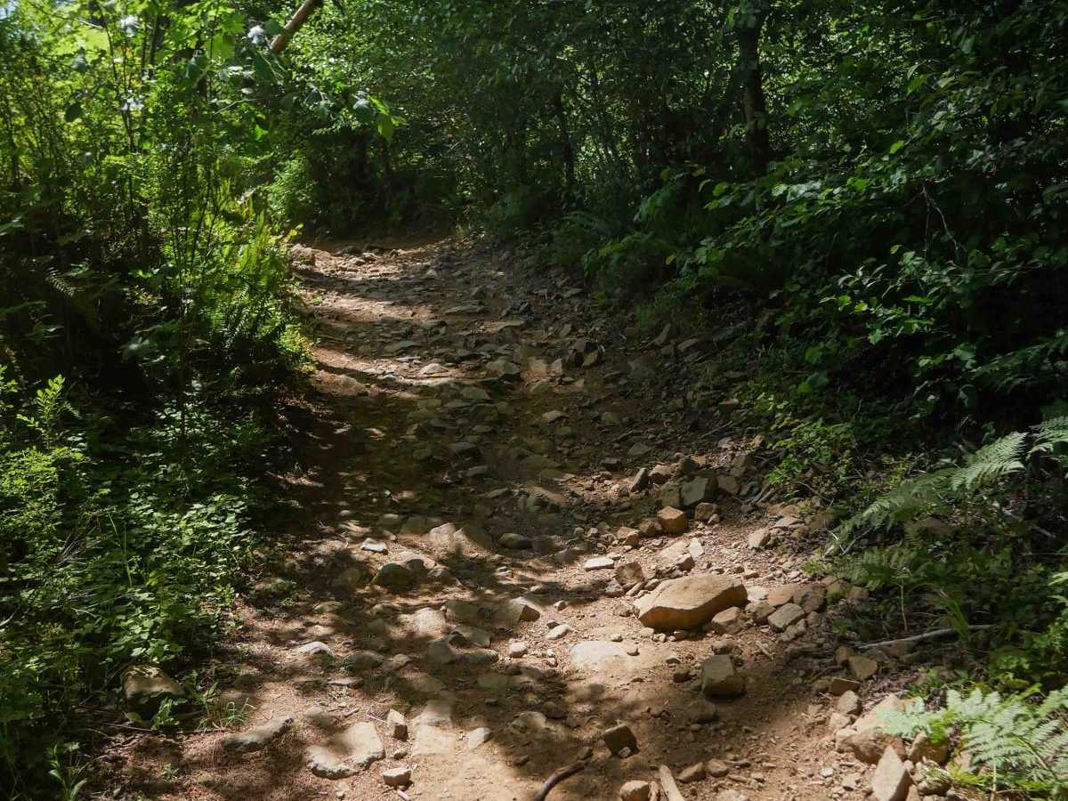 Elliot Creek #25 trail photo
